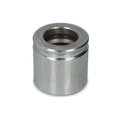 Imagen de AUTOFREN SEINSA D025536K Émbolo, pinza del freno 41 Eje trasero TRW VOLKSWAGEN: Passat B6 Berlina