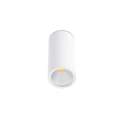 Imagen de Faro Barcelona 64198 REL Foco (bombilla incluida) LED, 60, 15W, cuerpo de aluminio, difusor pmma, color blanco