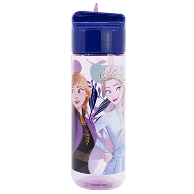 Imagen de Botella de agua infantil hidro reutilizable tritan 540 ml Frozen