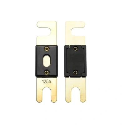 Imagen de Offgridtec 125 A 72 V ANL fusible DIN43560/1 5 Set
