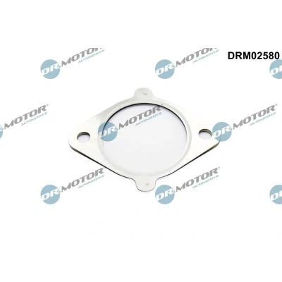 Imagen de Junta, válvula EGR Dr.Motor Automotive DRM02580