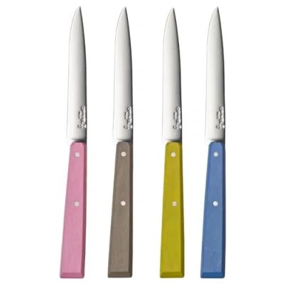 Imagen de Opinel Caja de 4 Cuchillos Mesa N125 Bon Appétit Campagne Hoja Acero Inoxidable Mango Charme Fabricación Francesa Rosa, Gris, Tilo y Azur