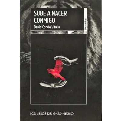 Imagen de SUBE A NACER CONMIGO: 1 (EL POETA ELÉCTRICO)