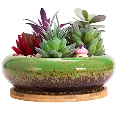Imagen de ARTKETTY Maceta para suculentas, Grande de bonsái 18,5 cm con Bandeja cerámica suculentas Agujero Drenaje, macetas Poco Profundas Cactus Plantas