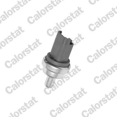 Imagen de CALORSTAT by Vernet WS2609 Sensor de Temperatura del Refrigerante PEUGEOT: 207 Hatchback, 206 Partner I Combispace
