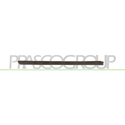 Imagen de Listón embellecedor/protector, puerta PRASCO VG0201453