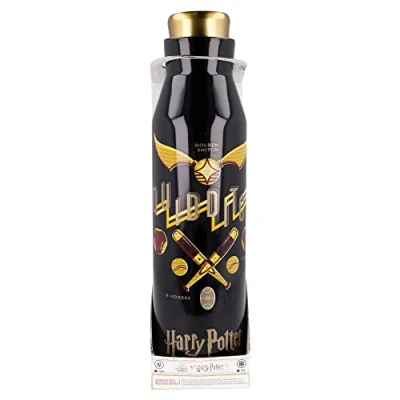 Imagen de Botella reutilizable térmica de acero inoxidable 580 ml Harry Potter