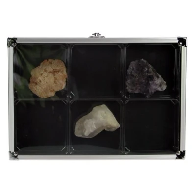 Imagen de SAFE ID Vitrina para minerales y modelos reducidos 5615