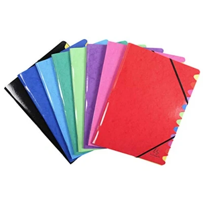 Imagen de Carpeta clasificadora exacompta iderama 12 departamentos folio gomas carton forrado colores
