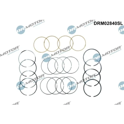 Imagen de Juego de segmentos del pistón Dr.Motor Automotive DRM02840SL