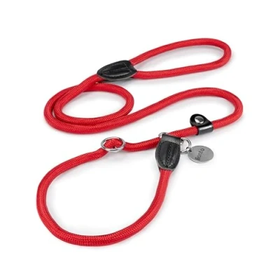 Imagen de lionto Correa Retriever de Perro Entrenamiento, Longitud 120 cm Rojo