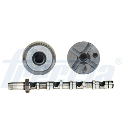 Imagen de FRECCIA CM05 2190 Árbol de Levas Lado admisión AUDI: A4 B6/B7 Cabrio, B7 Berlina, B6 Avant, VOLKSWAGEN: Passat B5 GP Berlina