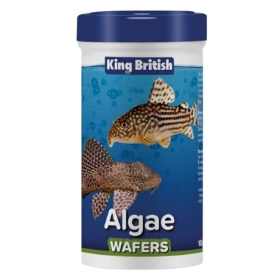 Imagen de King British Wafers de Algas 100g: Alimento Completo hundible con multivitaminas e Ingredientes Naturales para Peces Fondo como los bagres y Que comen