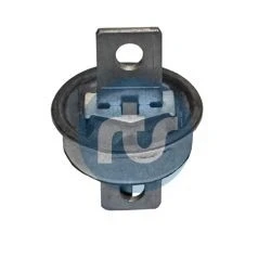 Imagen de brazo oscilante, bujes de RTS 017 00593
