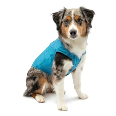 Imagen de Kurgo Loft Abrigo Reversible para Perros, Chaqueta Invierno Mascotas, Impermeable, Reflectante Azul/Naranja, M