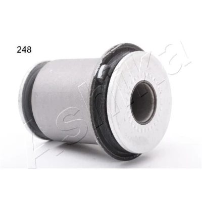 Imagen de brazo oscilante, bujes de ASHIKA GOM 248