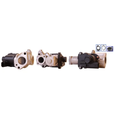 Imagen de DRI 717730125 Válvula EGR eléctrico con juntas AUDI: A4 B8 Avant, Berlina, Q7, VOLKSWAGEN: Touareg I, Phaeton