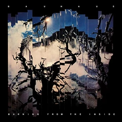 Imagen de Burning from the Inside
