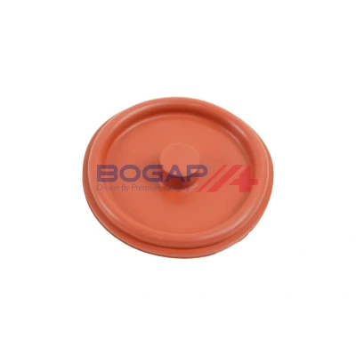 Imagen de BOGAP E1116100 Válvula, ventilación cárter
