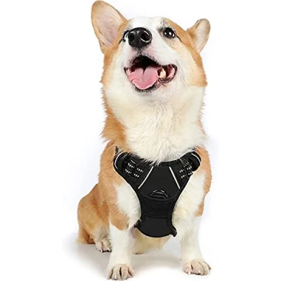 Imagen de rabbitgoo Arnes Antitirones Perro Midano Malla Confortable Transpirable Lineas Reflecantes Arnés Acolchado Ajustable con Asa y Enganche Color Negro