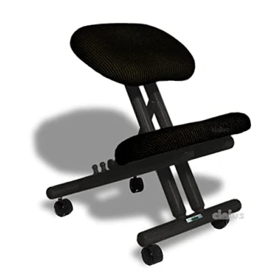 Imagen de cinius Silla ergonómica Profesional Color Negro sin Respaldo