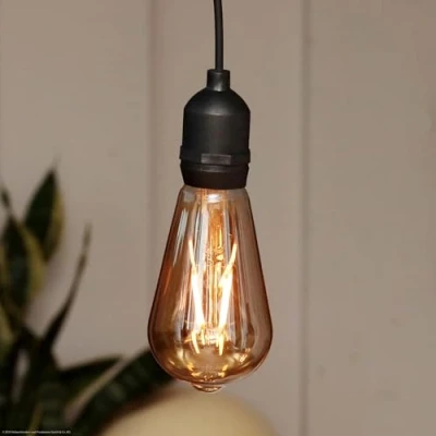Imagen de Hellum lámpara colgante con batería y mando a distancia al aire libre, ST64 Ø 6,4 x 13,8cm, bombilla dorada batería, retro regulable (4xAA no incl.) 150407