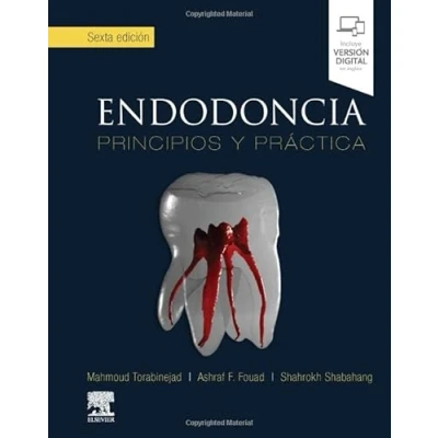 Imagen de Endodoncia, 6.ª Ed.: Principios y práctica