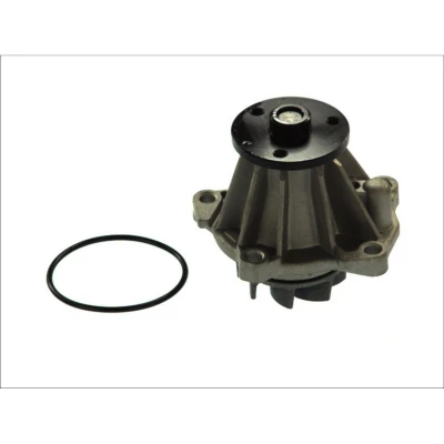 Imagen de THERMOTEC D1G033TT Bomba de agua con junta mecánico FORD: Escort 6, Sierra Mk2 Hatchback, Galaxy Mk1 MPV