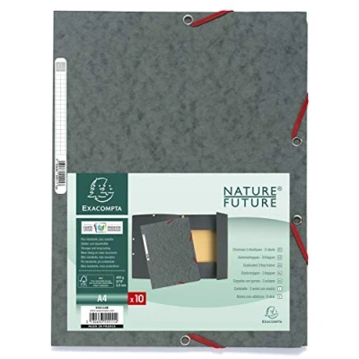 Imagen de Exacompta 55511E Carpeta con goma, A4, color gris