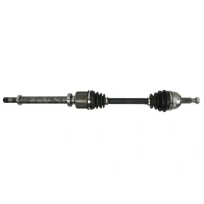 Imagen de Semi eje PASCAL G2R110PC