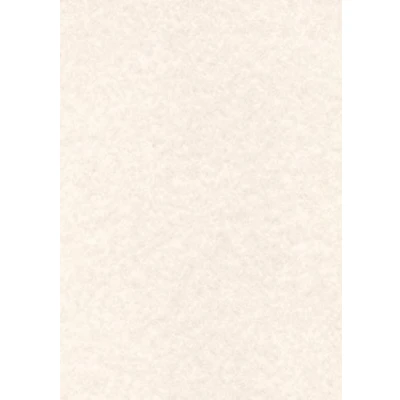 Imagen de APLI PCL1602 Papel pergamino gris A4 95 g 100 hojas