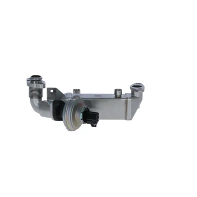 Imagen de NRF 48365 Módulo AGR con radiator EGR