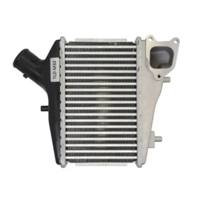 Imagen de THERMOTEC DA4005TT Intercooler