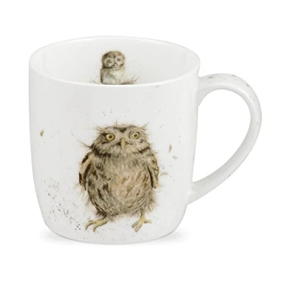 Imagen de Royal Worcester Taza Individual con diseño de búho, Porcelana Ceniza Hueso, Neutro, 1 Count (Pack of 1)
