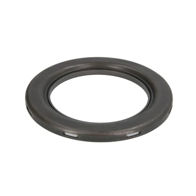 Imagen de SNR M258.09 Cojinete Columna Suspensión FIAT: BRAVO 2