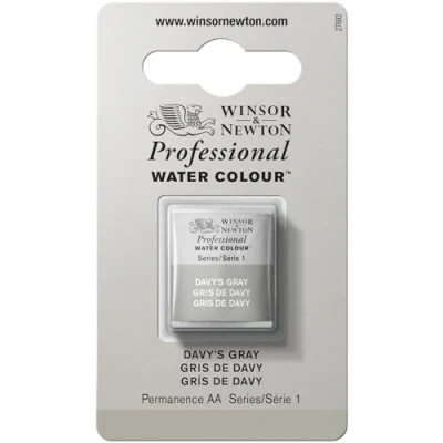 Imagen de Winsor &amp; Newton Acuarela Profesional Pintura De Acuarela, Alta Luminosidad, Resistente a la Luz, Calidad Archivo, 1/2 Godet, Color Gris Davy