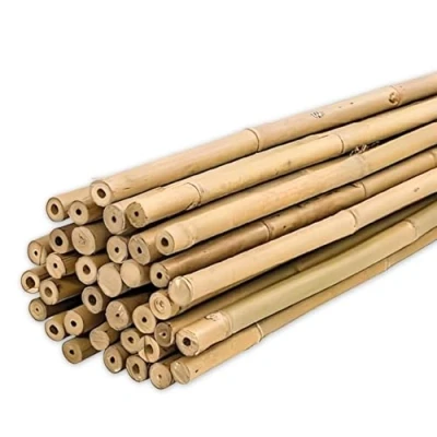 Imagen de PLANTAWA Tutores de bambú 90 cm Paquete 25 Unidades Ø 10 12 mm Soporte para Plantas, Hortalizas, Tomates y Tomateras Plantas Instalación Fácil. Cañas Resistentes