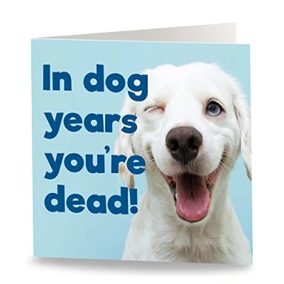 Imagen de Maturi Tarjeta de felicitación cumpleaños divertida con texto en inglés In Dog Years..., interior blanco, 15,5 x cm