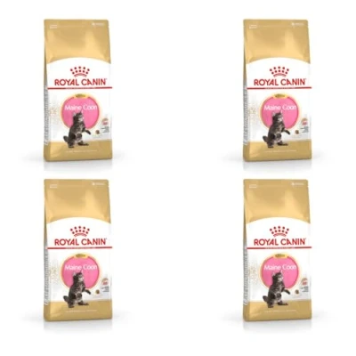 Imagen de Royal Canin Maine Coon Kitten Paquete Triple 3 x 400 g Comida Seca para Gatos Especial Cachorros de Gato favorecer la digestión y el Sistema inmunitario