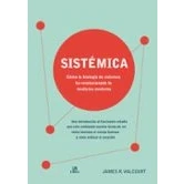 Imagen de Sistemica