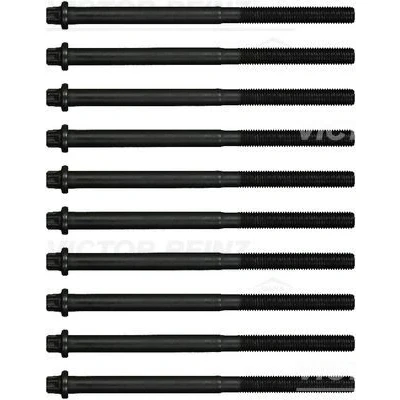 Imagen de REINZ 14 17059 01 Juego de Tornillos Culata Torx exterior BMW: X5, X6, 5 Berlina