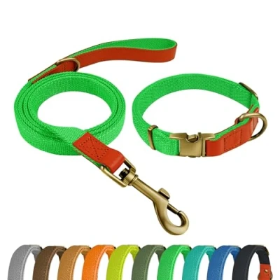 Imagen de Qianruida Juego de Collar y correa para perros ajustable pequeños, medianos grandes, verde neón, M