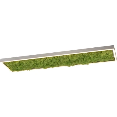 Imagen de JUST LIGHT. Plafón LED Green Knut con musgo auténtico