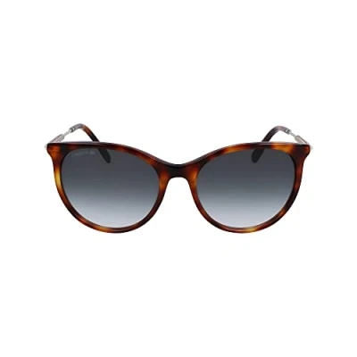 Imagen de Gafas de Sol LACOSTE L993S 214 HAVANA 54/17/140 Mujer