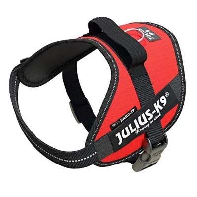 Imagen de Julius K9, Arnés IDC Power, Tamaño: S / Mini, Rojo
