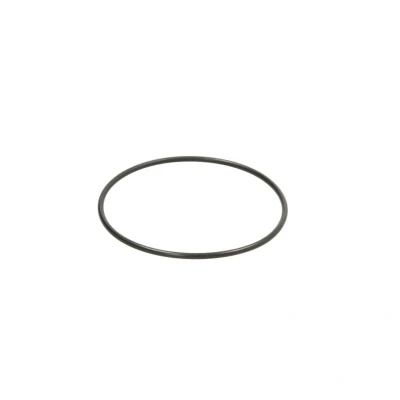 Imagen de Anillo obturador C.E.I 139597