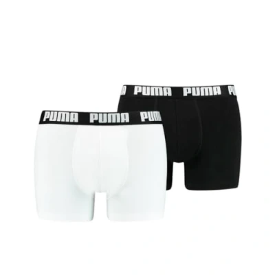 Imagen de Puma