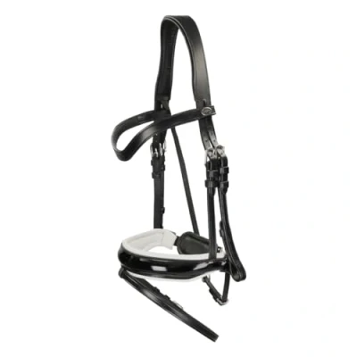 Imagen de Dyon Snaffle bridle white padded