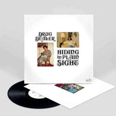 Imagen de Hiding In Plain Sight [Vinilo]