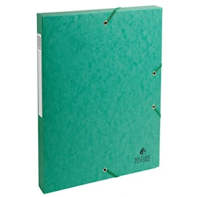 Imagen de Exacompta 50303E Carpeta de proyecto con goma, color verde